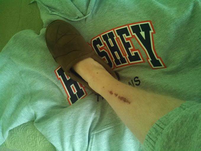 Eighth Sunday After Pentecost… 7/10/2016