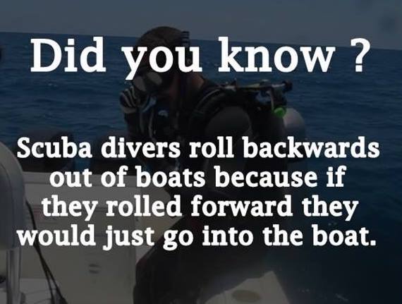 Reformation Sunday… 10/30/2016&nbsp;(REVISED)