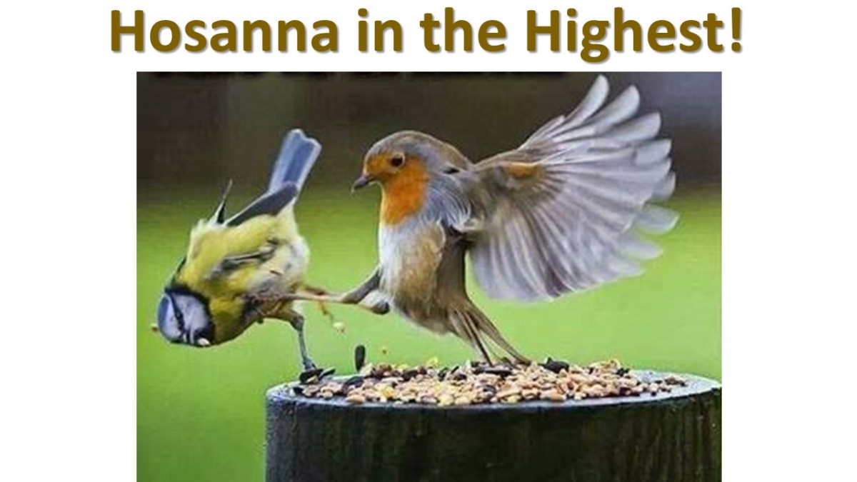 Remembering The Baptism of Our Lord… 1/8/2017 *push*&nbsp;(REVISED)