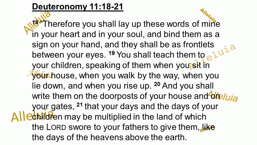 i-will-read-1-30-2017a