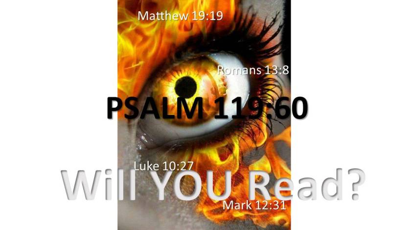 iwillread1-170125113945