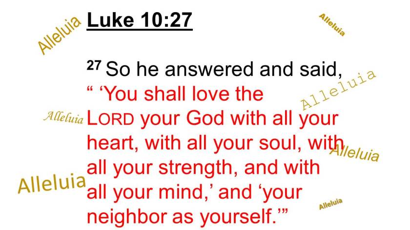 iwillread1-170125113945c