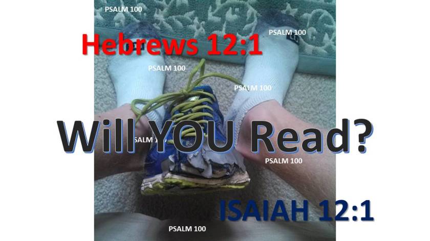 iwillread1-170127113128a