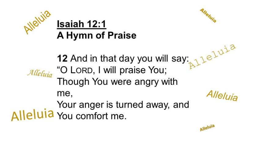 iwillread1-170127113128c