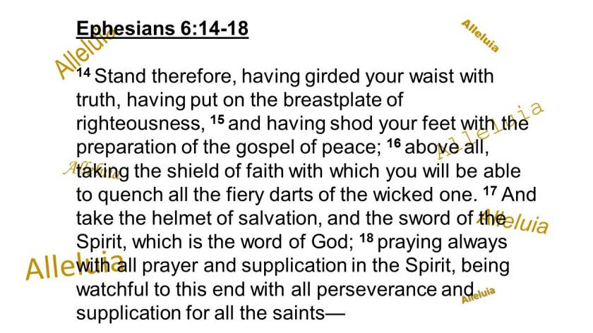 iwillread2-170201112857b