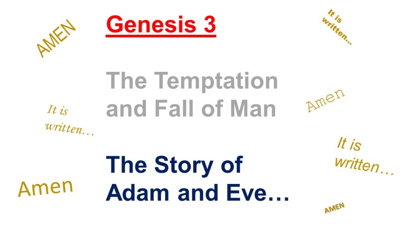 thank-you-2-28-2017b