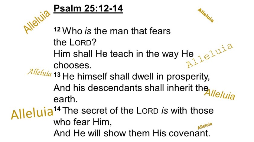 I WILL READ 8.22.2017a