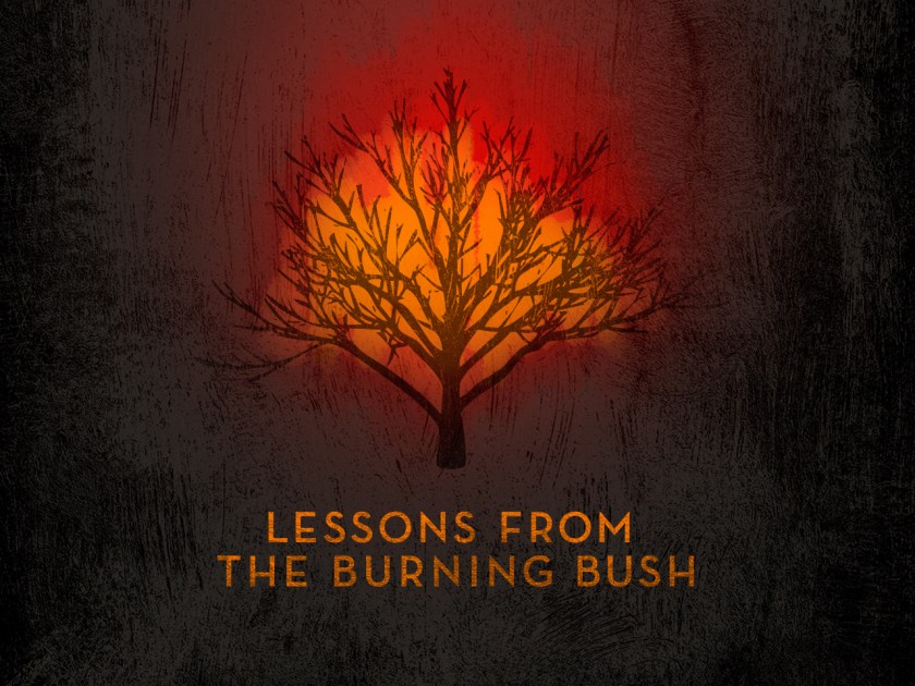 Lessons from the burning bush