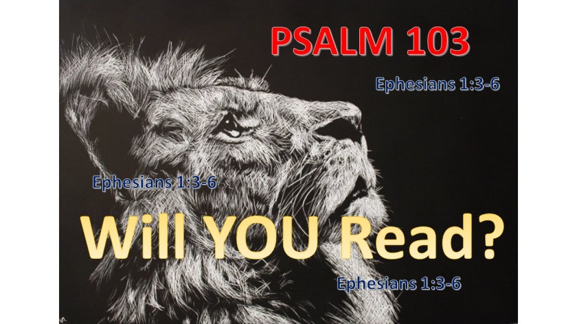 WILL YOU READ 9.12.2017