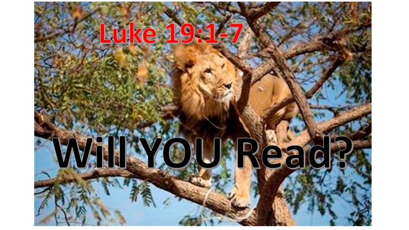 I WILL READ 10.27.2017