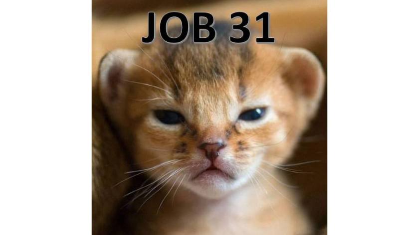 JOB31