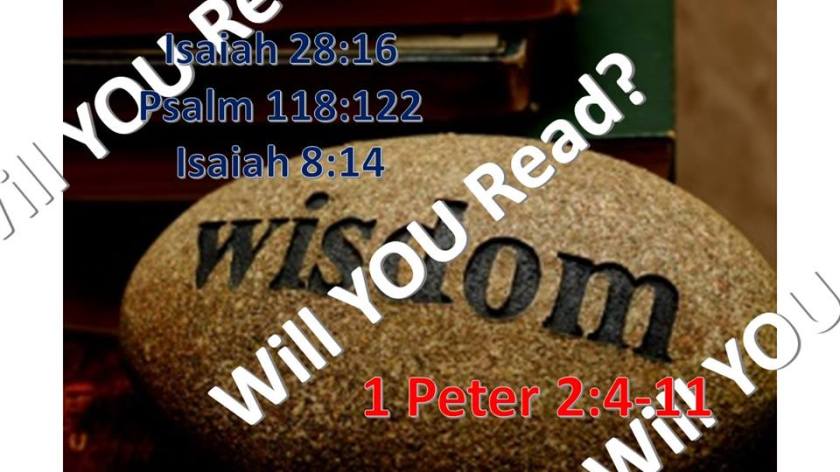 WILL YOU READ 10.11.2017