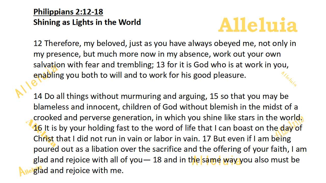 Thank you 3.23.2018a