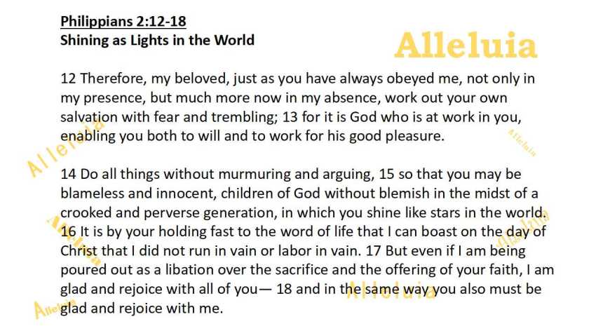 Thank you 3.23.2018a