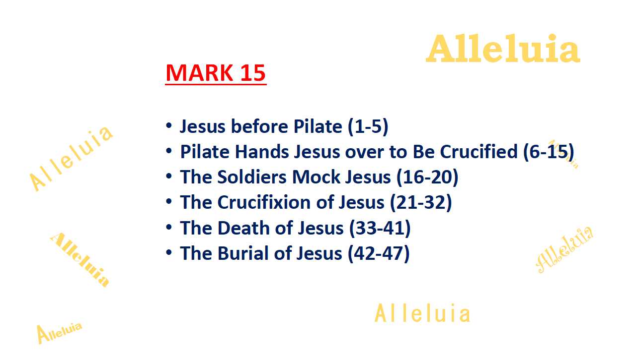 Thank you 3.24.2018a