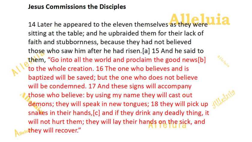 Thank you 4.18.2018b