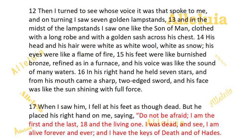 Thank you 5.11.2018b