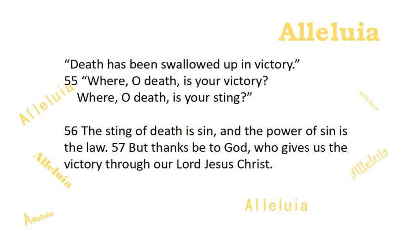 Thank you 5.18.2018b