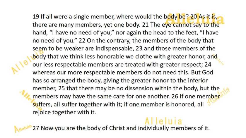 Thank you 5.22.2018b