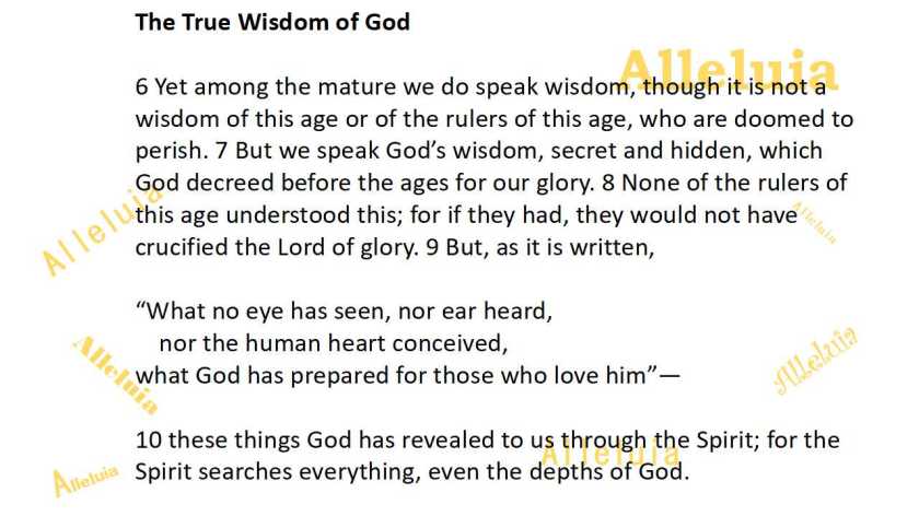 Thank you 5.29.2018b