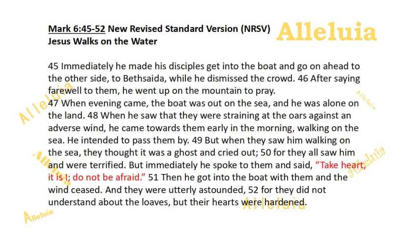 Thank you 6.27.2018a