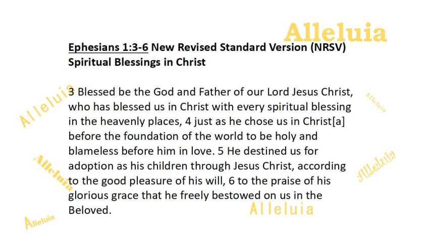 Thank you 6.29.2018b