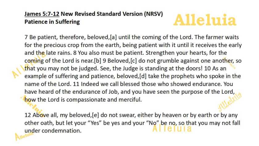 Thank you 7.10.2018a