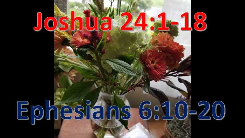 14th sunday after pentecost