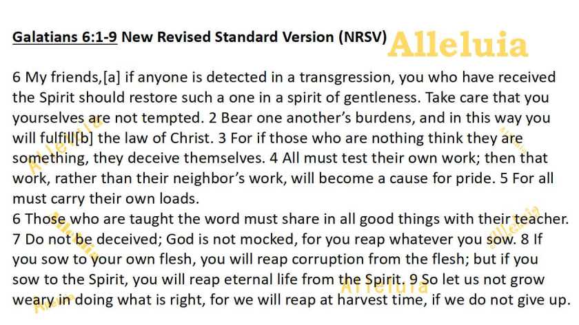 Thank you 8.10.2018a