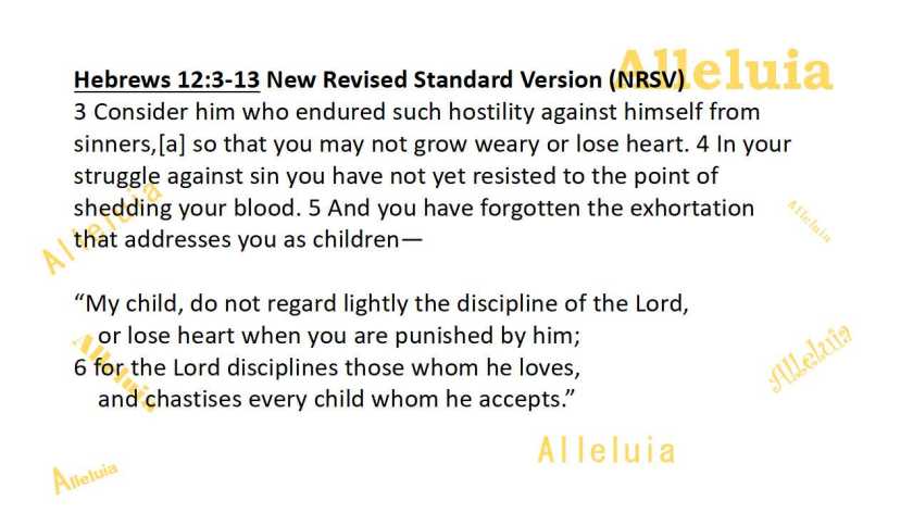 Thank you 9.11.2018a