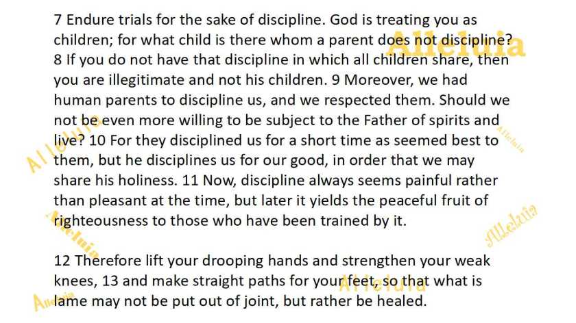 Thank you 9.11.2018b