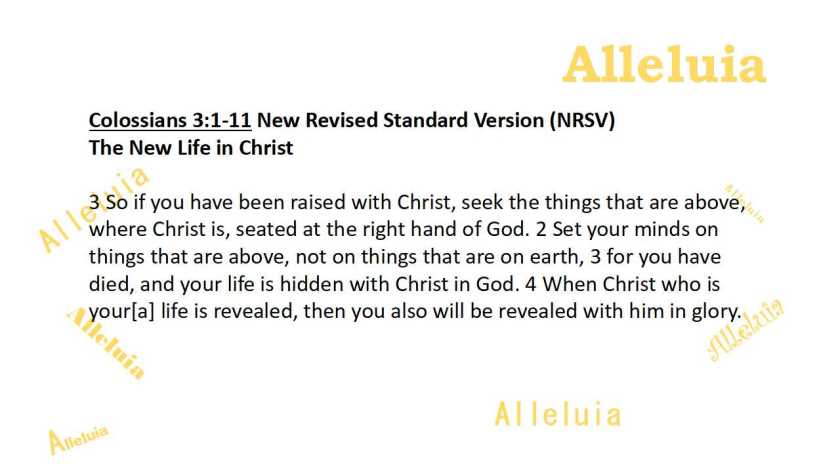 Thank you 9.18.2018a