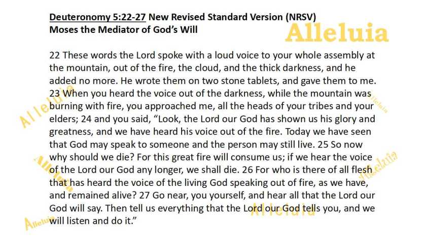 Thank you 10.12.2018b