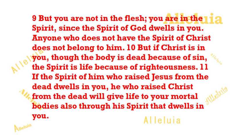 Thank you 10.5.2018b