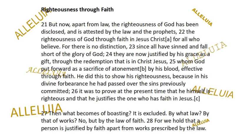 Thank you 10.31.2018b