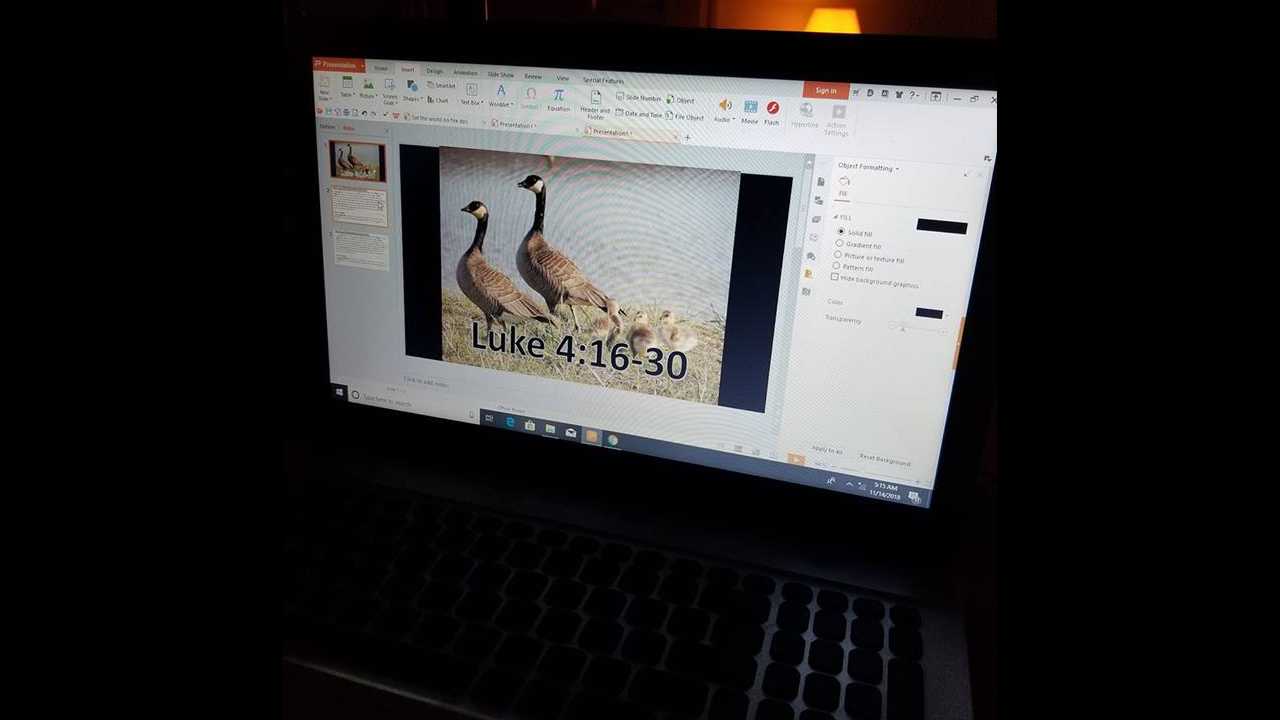 Thank you 11.14.2018