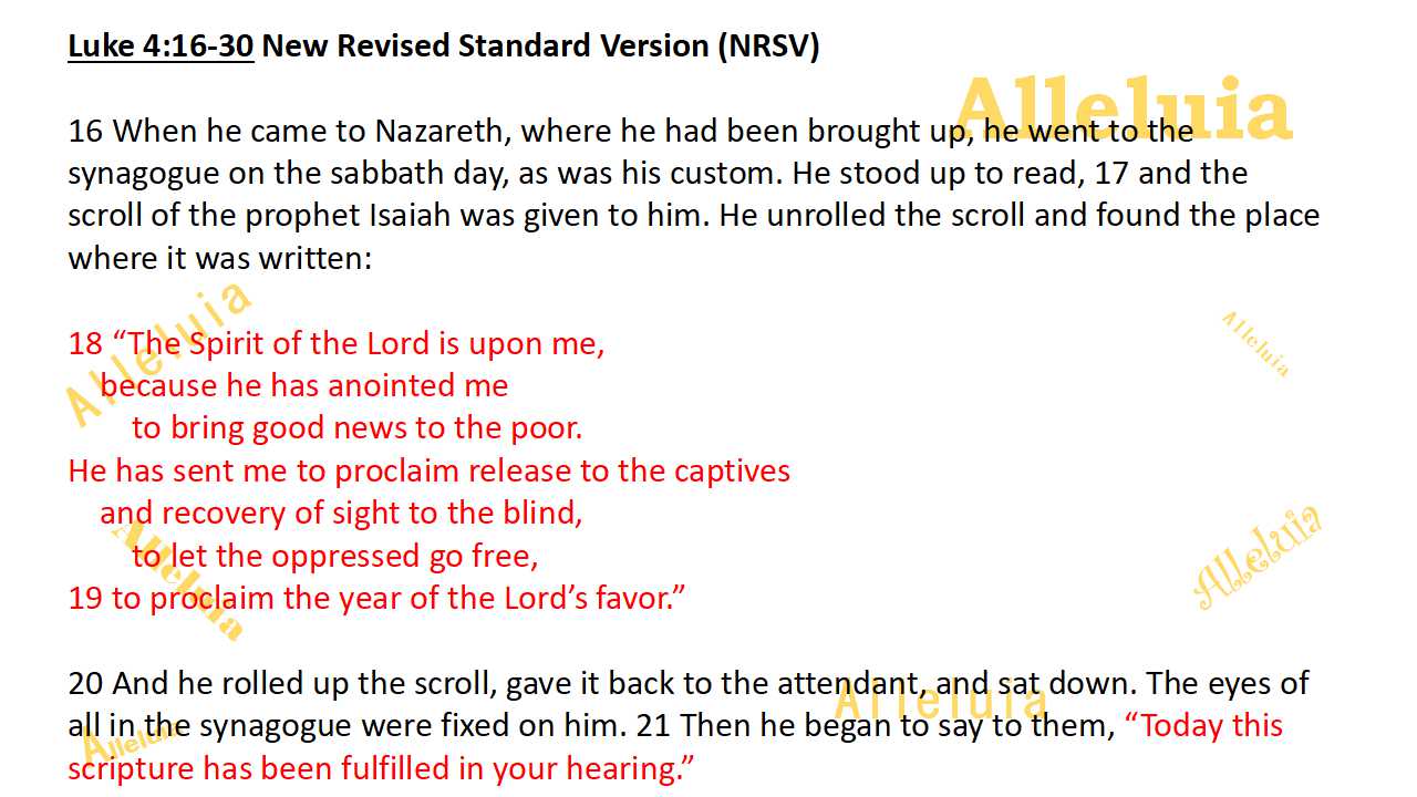 Thank you 11.14.2018a