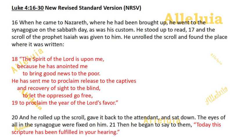 Thank you 11.14.2018a