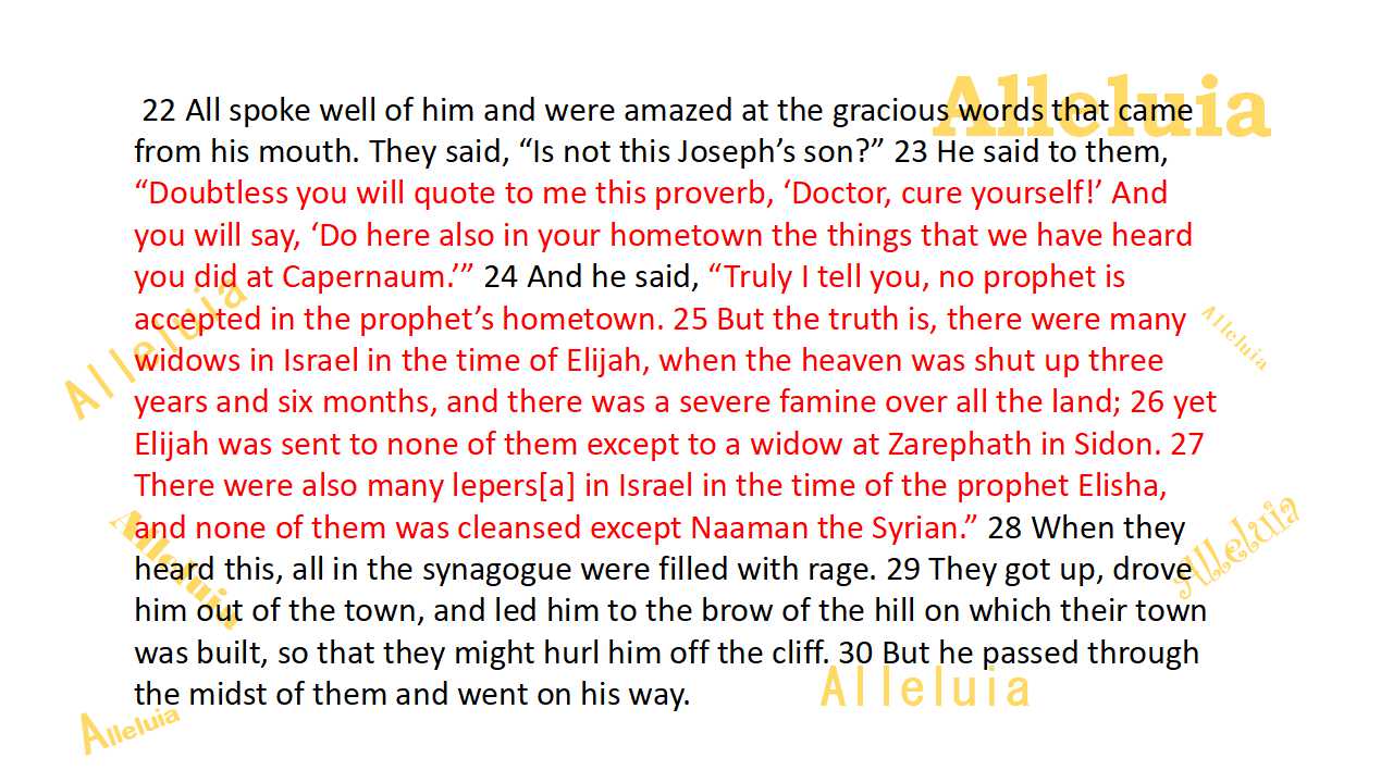 Thank you 11.14.2018b