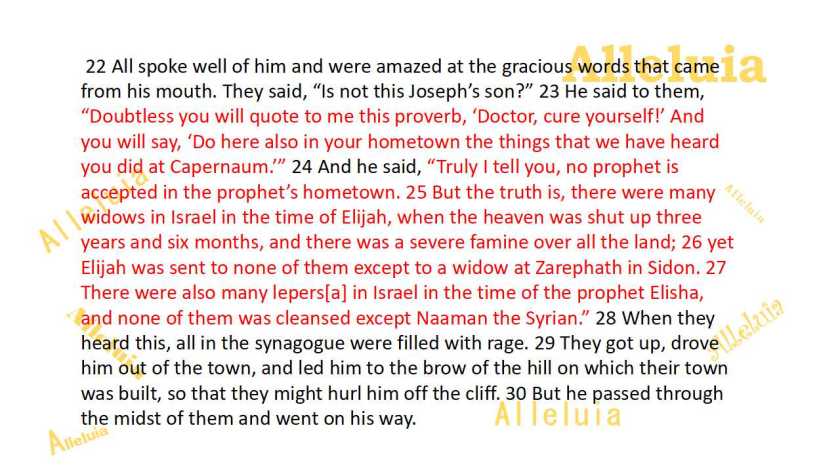 Thank you 11.14.2018b