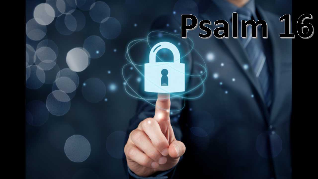 Thank you 11.15.2018