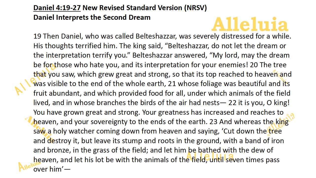 Thank you 11.16.2018a