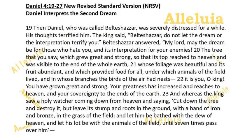 Thank you 11.16.2018a