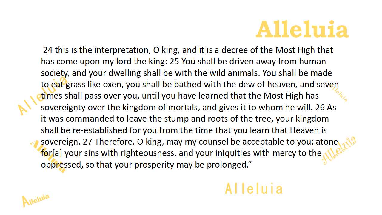 Thank you 11.16.2018b