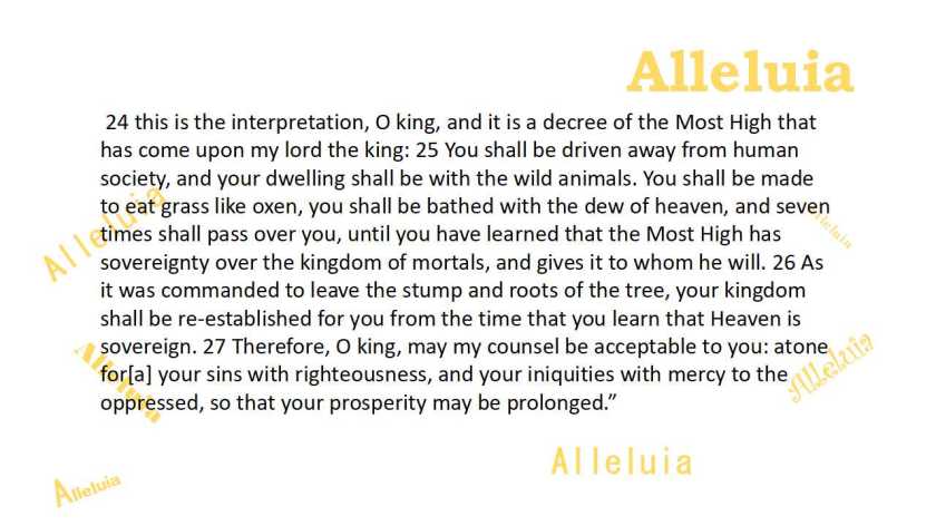 Thank you 11.16.2018b