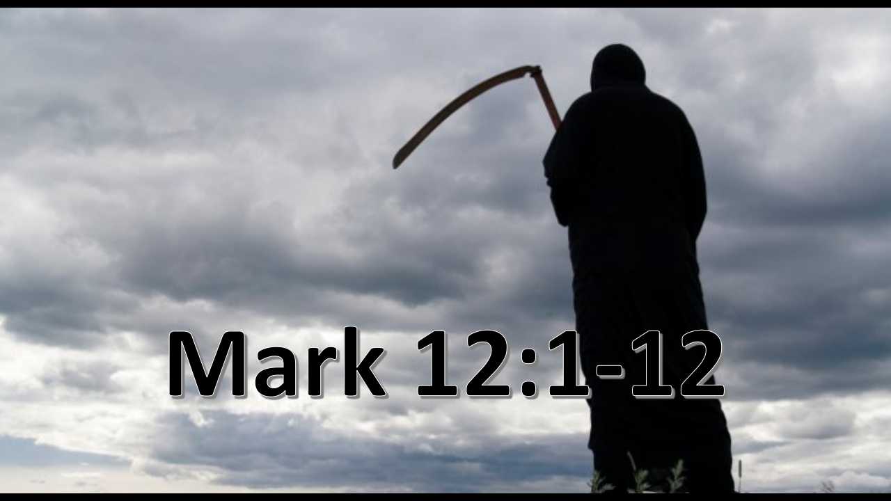 Thank you 11.17-18.2018