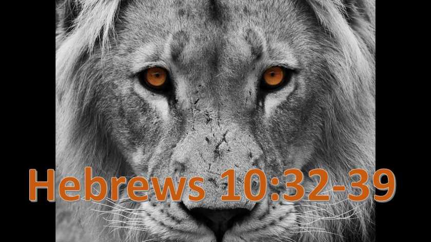 Thank you 11.20.2018