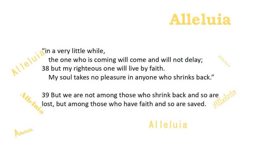 Thank you 11.20.2018b