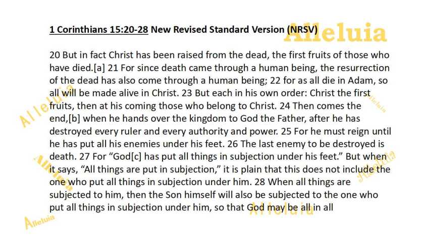 Thank you 11.23.2018a