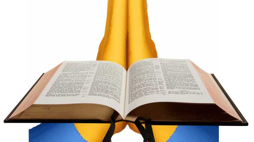 Thank you 11.24-25.2018a